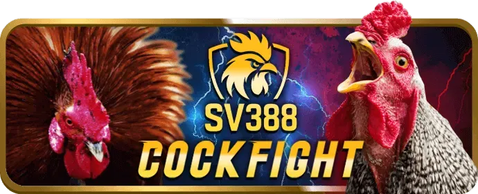 Ưu Đãi Đặc Biệt VIP